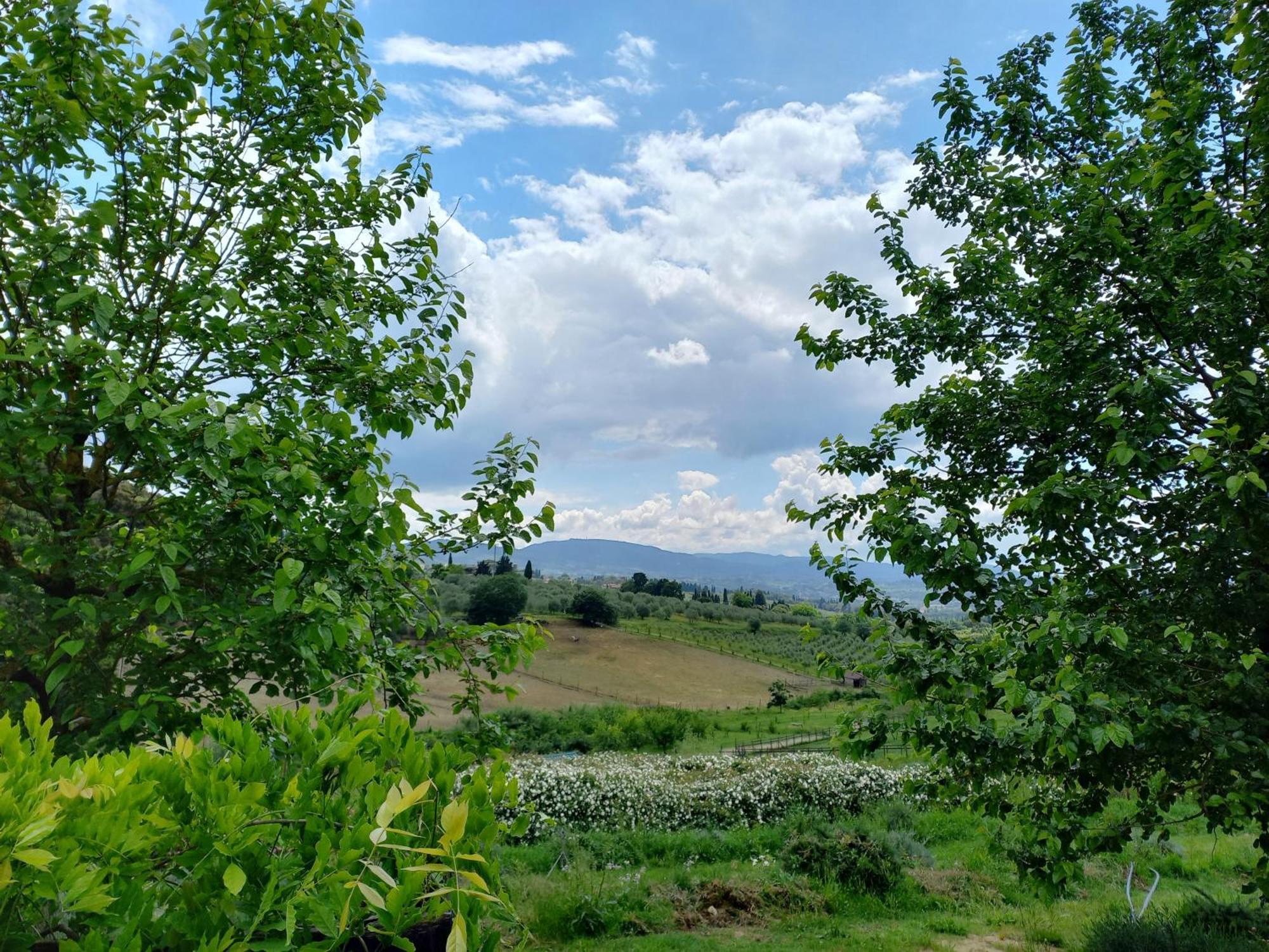 Agriturismo Fattoria Di Maiano Fiesole Exterior foto